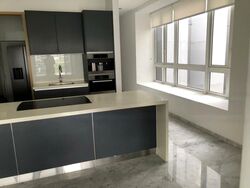 Turquoise (D4), Condominium #486123041